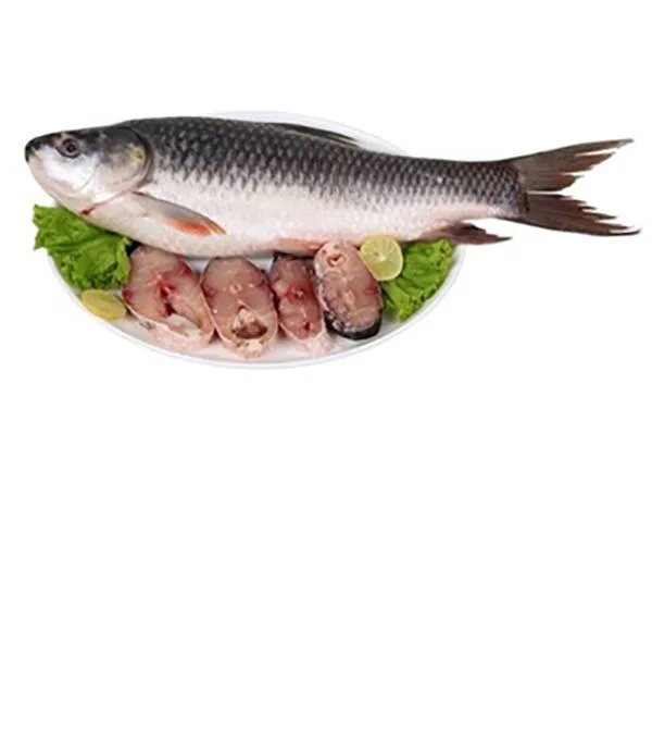 Fresh rohu fish
