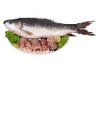 Fresh rohu fish