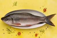 fish, rohu, fresh fish, non veg, protein